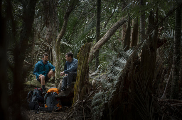 Loop Track (2023) - photo 7