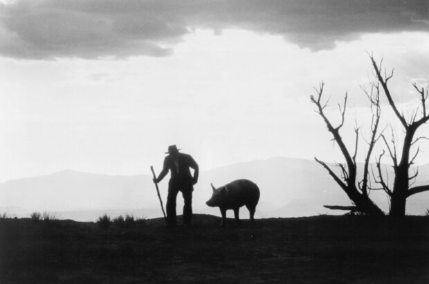 The Milagro Beanfield War (1988) - photo 1