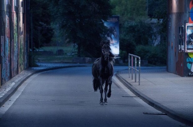 Ostwind - Der große Orkan (2021) - photo 4