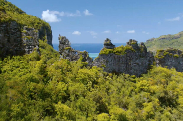 Polynesia, the quest for origins (2017) - photo 8