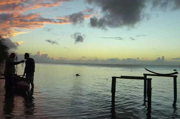 Polynesia, the quest for origins (2017) - photo 1