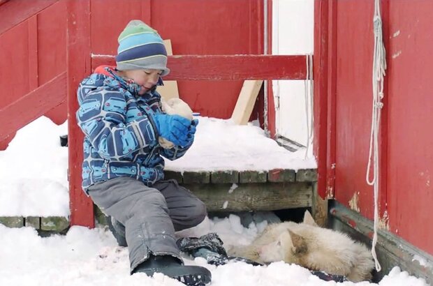 A Polar Year (2018) - photo 6