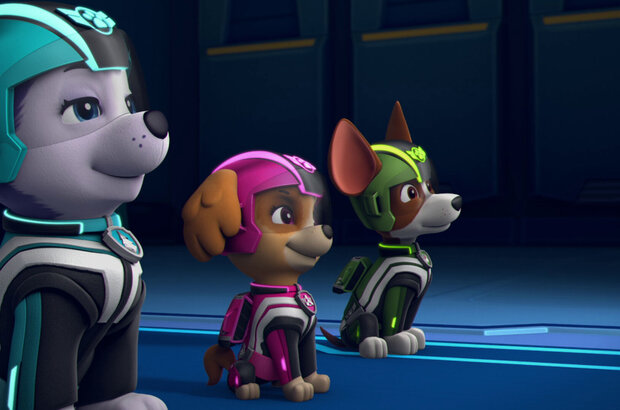 Paw Patrol: Jet to the Rescue (2020) - photo 8