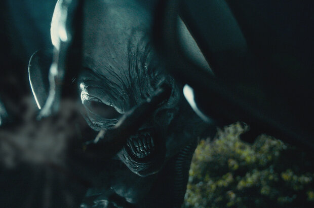 Alien Invasion (2023) - photo 7