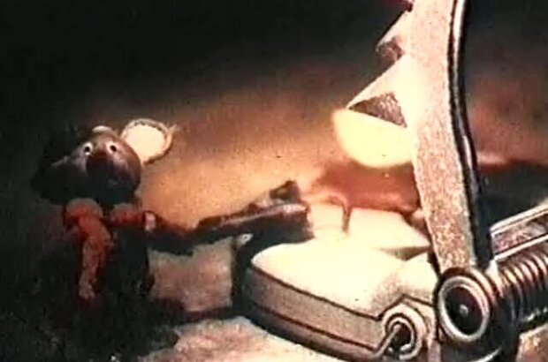 Kvartira iz syra (1989) - photo 6