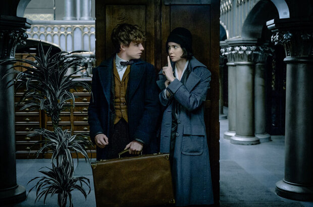 Fantastic Beasts and Where to Find Them (2016) - photo 15