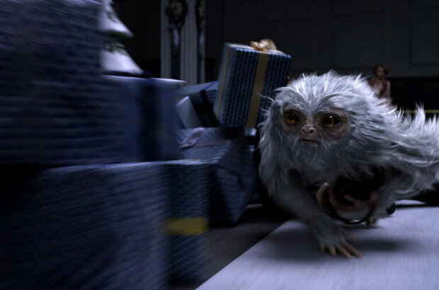 Fantastic Beasts and Where to Find Them (2016) - photo 14