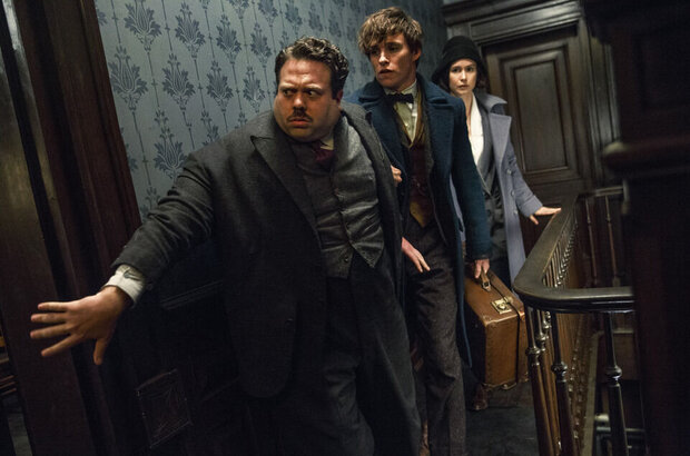 Fantastic Beasts and Where to Find Them (2016) - photo 3