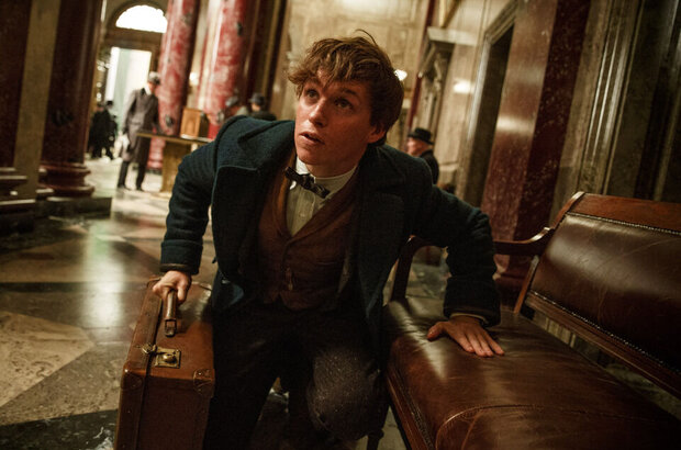 Fantastic Beasts and Where to Find Them (2016) - photo 5