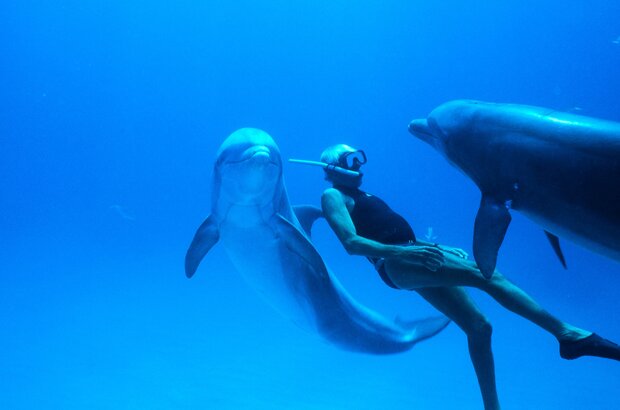 Dolphin Man (2017) - фото 3