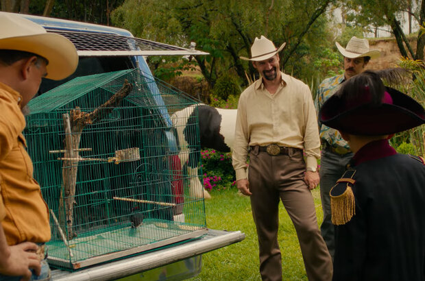 Down the Rabbit Hole (2024) - photo 8