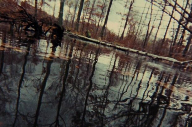 The Evil Dead (1981) - photo 3