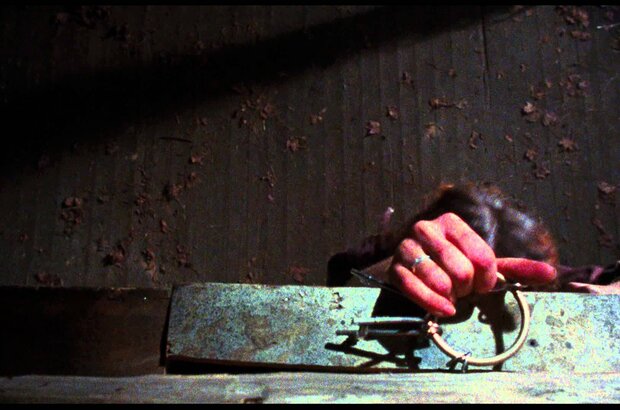 The Evil Dead (1981) - photo 5