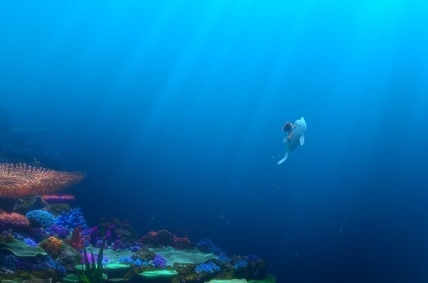 Dolphin Boy (2022) - photo 11