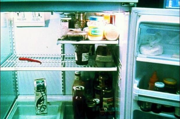 The Left-Hand Side of the Fridge (2000) - photo 4
