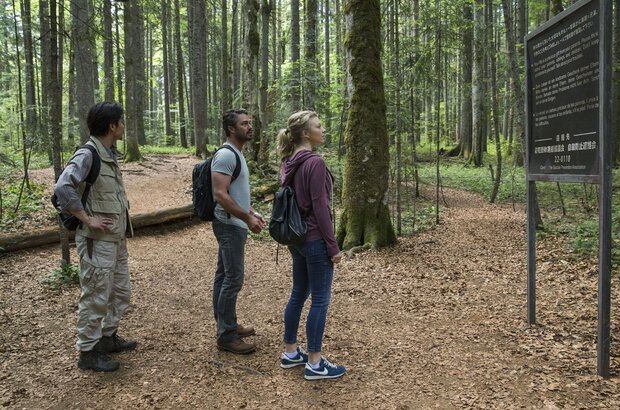 The Forest (2016) - photo 2