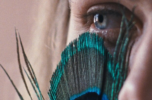 The Metamorphosis of Birds (2020) - photo 4