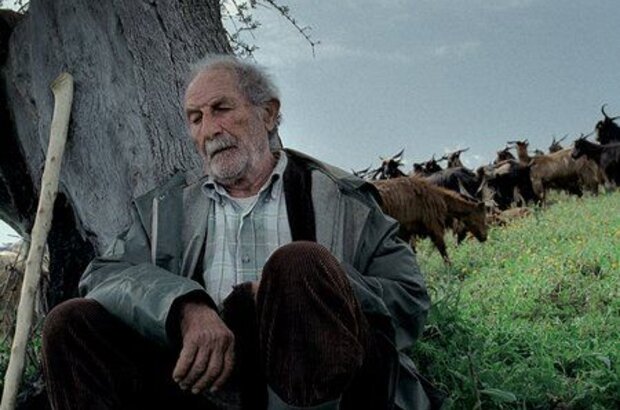 Le Quattro Volte (2010) - photo 2