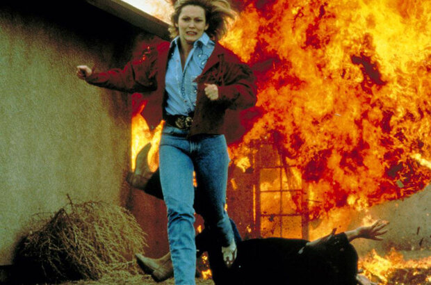 Слежка 2: Снова в засаде (1993) - фото 2