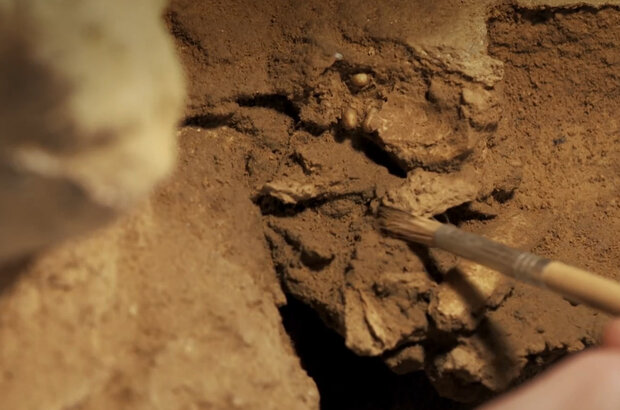 Темный секрет неандертальцев (2012) - photo 8