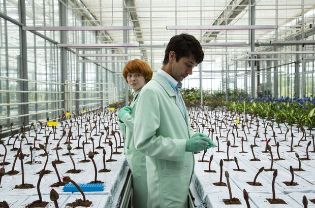 Little Joe (2019) - photo 1