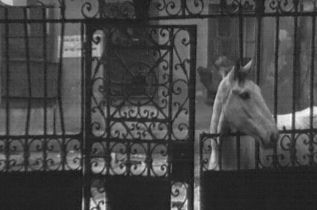 Poezd v dalyokiy avgust (1971) - photo 7