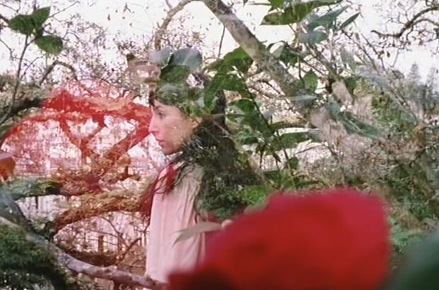 Love Torn in a Dream (2000) - photo 3