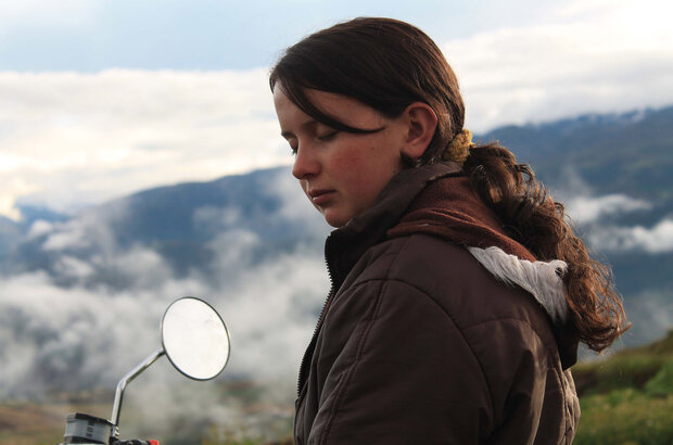 The Silence of the Flies (2013) - photo 2