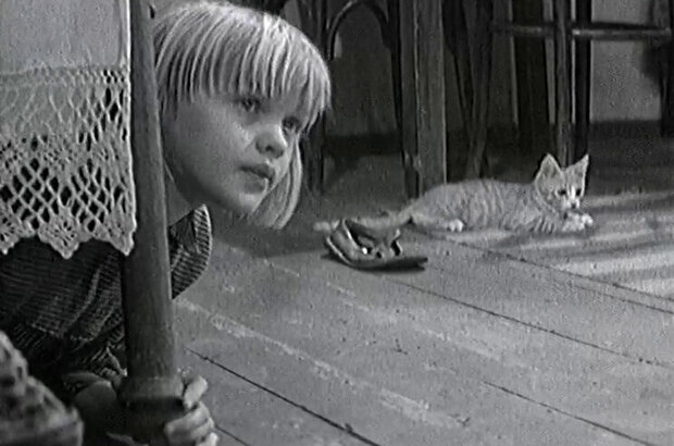 Serebryanye truby (1970) - photo 1