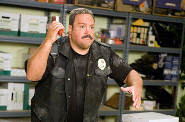 Paul Blart: Mall Cop (2009) - photo 6