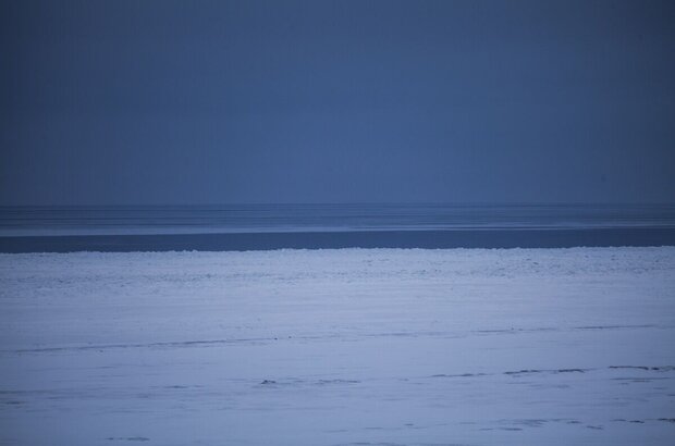 The Great Arctic (2014) - photo 3