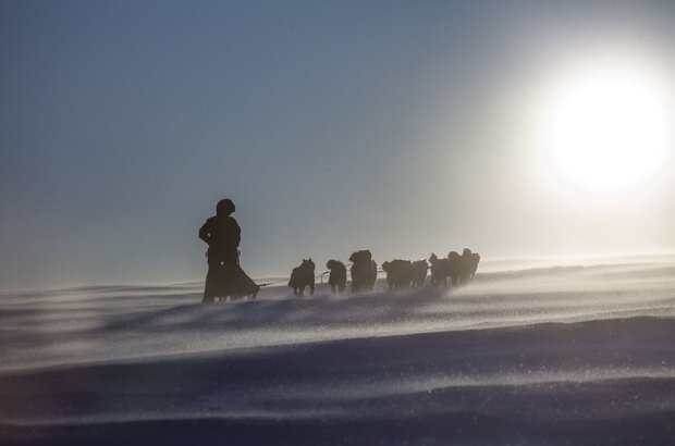 The Great Arctic (2014) - photo 2