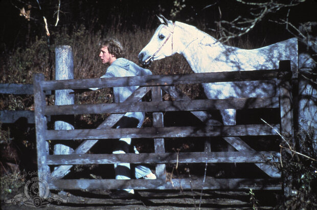 Equus (1977) - photo 1