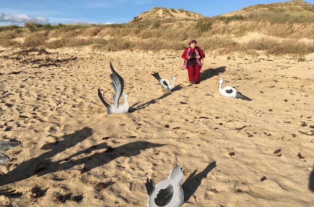 Varda by Agnès (2019) - photo 5