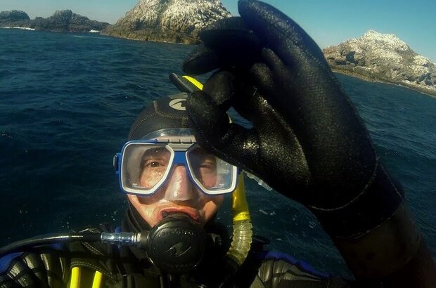 Open Water 3: Cage Dive (2017) - photo 6