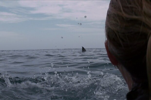 Open Water 3: Cage Dive (2017) - photo 5