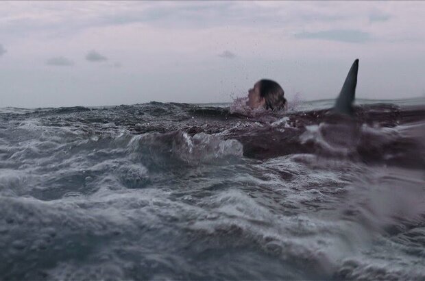Open Water 3: Cage Dive (2017) - photo 4