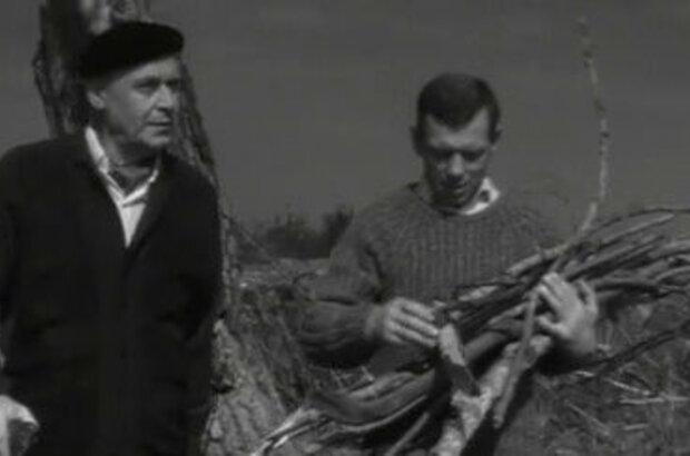 Judge now... (1967) - photo 4