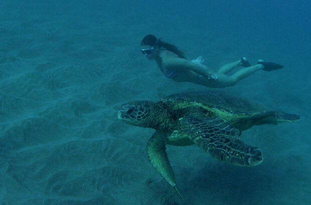 She Is the Ocean (2020) - photo 15