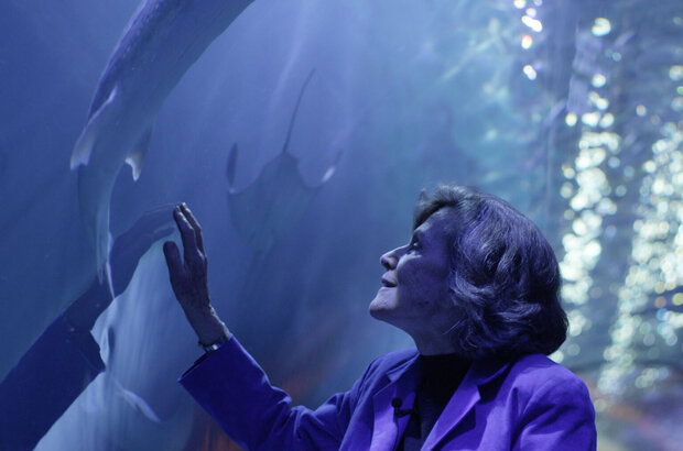 She Is the Ocean (2020) - photo 56