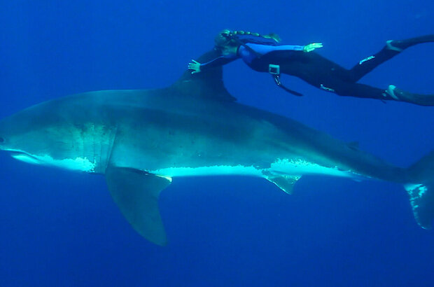 She Is the Ocean (2020) - photo 35
