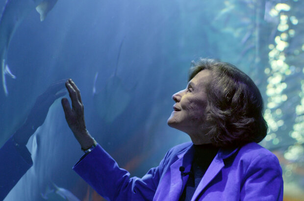 She Is the Ocean (2020) - photo 51