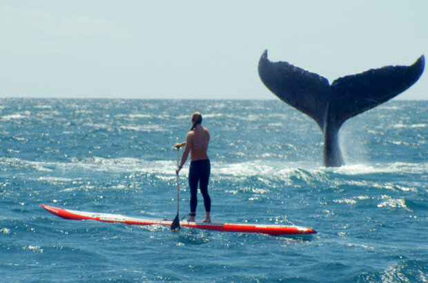 She Is the Ocean (2020) - photo 17