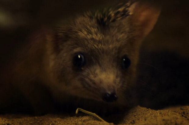 Пустыни (2021) - photo 3