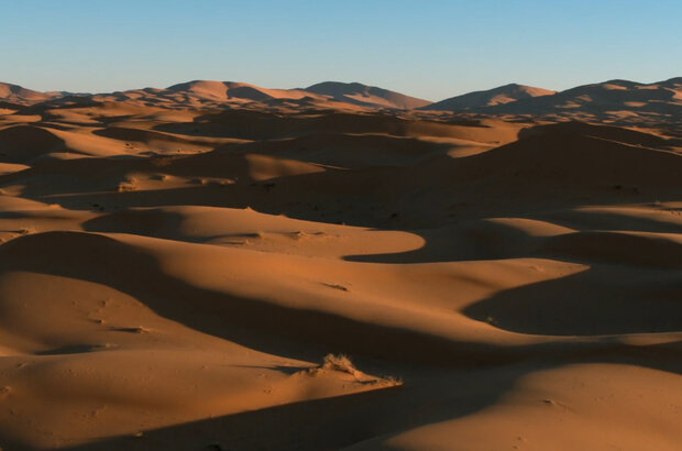 Пустыни (2021) - photo 5