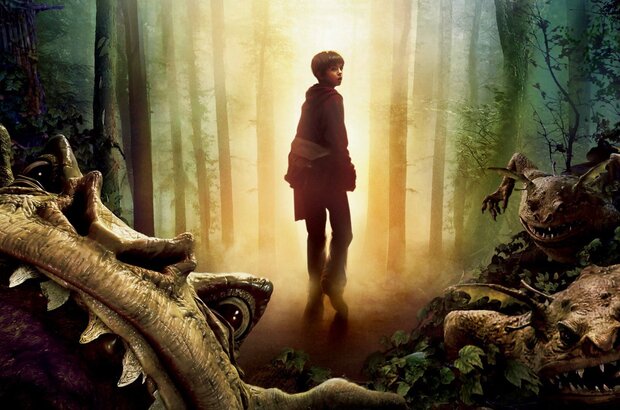 The Spiderwick Chronicles (2008) - photo 1