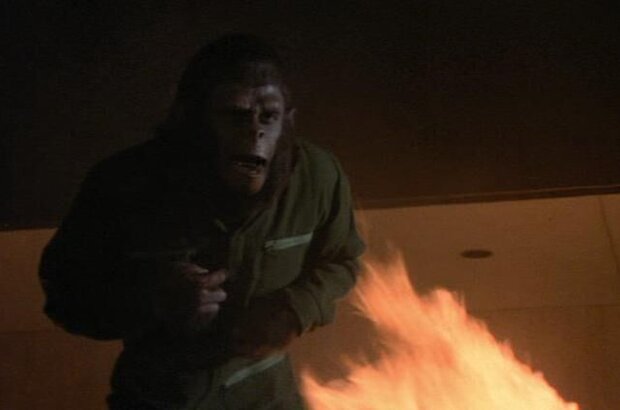 Conquest of the Planet of the Apes (1972) - photo 5