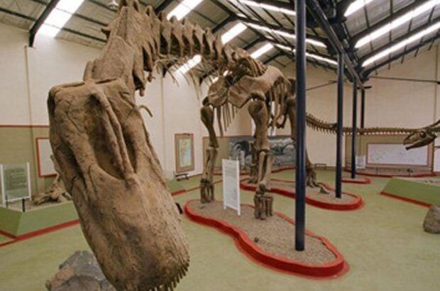 Dinosaurs: Giants of Patagonia (2007) - photo 2