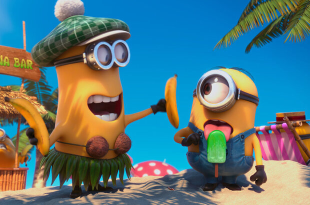 Despicable Me 2 (2013) - photo 17