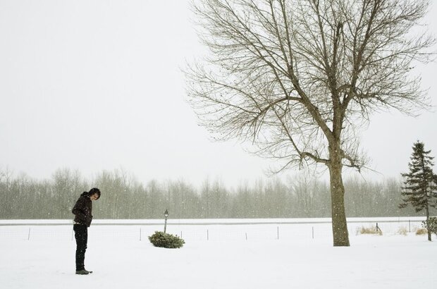 Для Эллен (2012) - фото 2